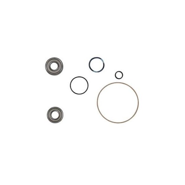 Pump Repair Kits- Kit, Ball Bearing 6304.HYB/6204.HYB, Spare Part.